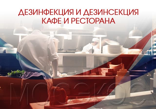 Дезинсекция предприятия общественного питания в Ивантеевке